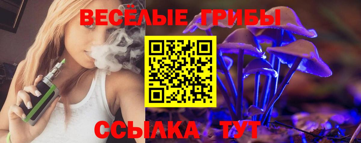 Псилоцибиновые грибы MAGIC MUSHROOMS  Псилоцибиновые грибы Magic Shrooms  Клин  Вход с VPN 